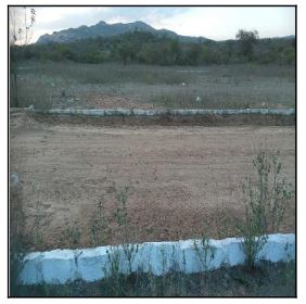 Terreno - Venda, LOT RES DEUS É FIEL, JATAUBA, PE